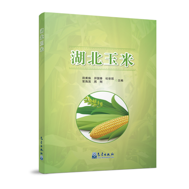 湖北玉米