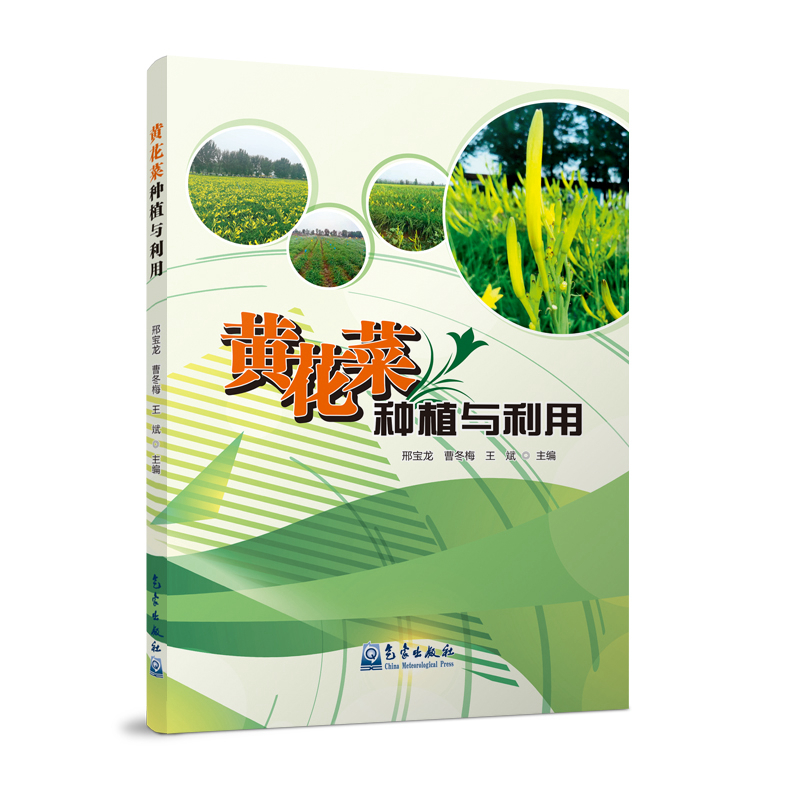 黄花菜种植与利用