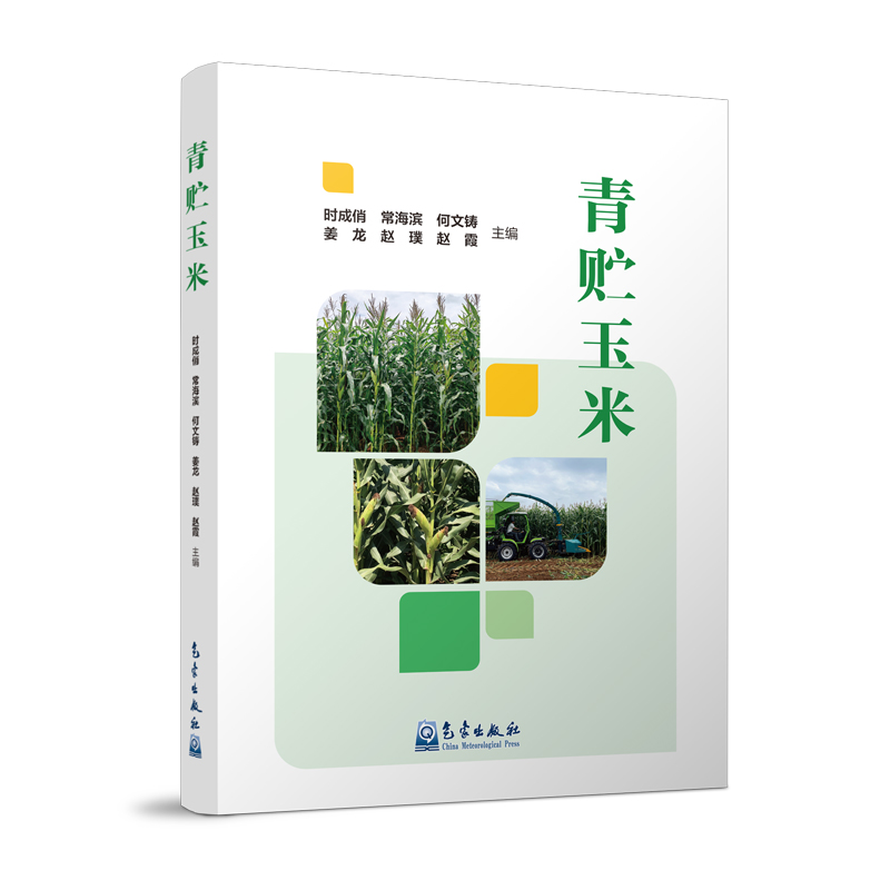 青贮玉米